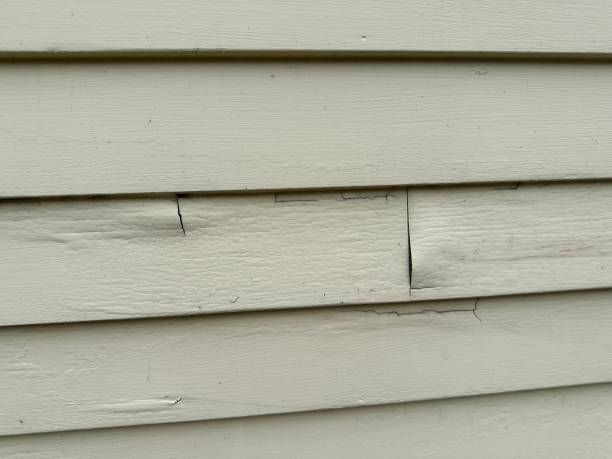 Affordable Siding Repair and Maintenance Services in Sisco Heights, WA